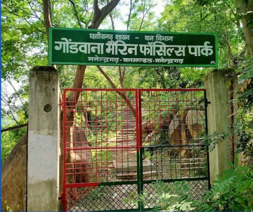 छत्तीसगढ़ का अनमोल खजाना : 293 मिलियन साल पुराने समुद्री जीवाश्मों का राज़ खोलता गोंडवाना मरीन फॉसिल पार्क