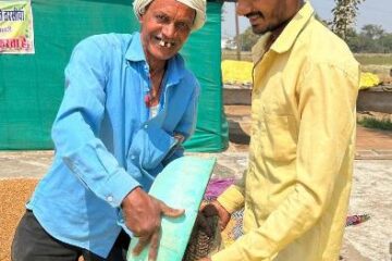धान नहीं, अब चना की खेती से मिल रहा मुनाफा