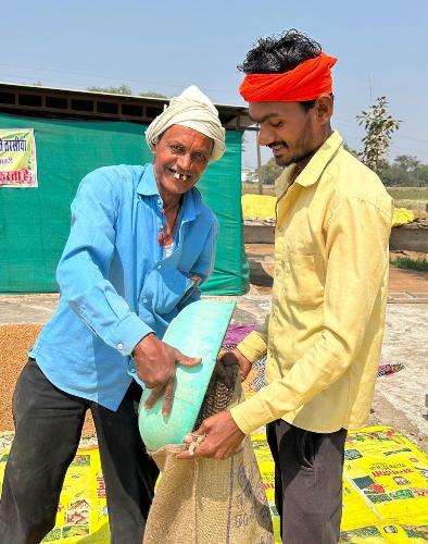धान नहीं, अब चना की खेती से मिल रहा मुनाफा