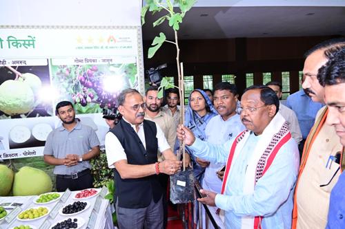 राष्ट्रीय आम महोत्सव से आम उत्पादन के लिए प्रेरित होंगे छत्तीसगढ़ के किसान: कृषि मंत्री