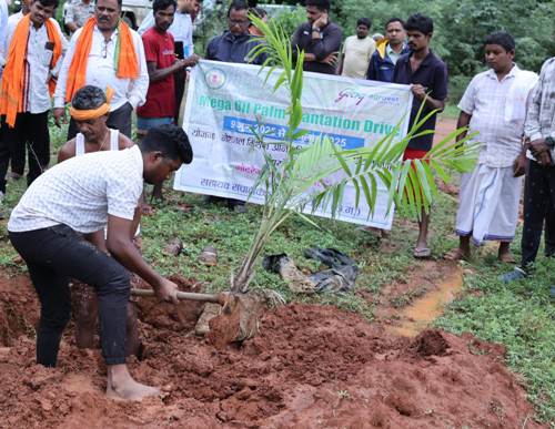 मेगा ऑयल पॉम प्लांटेशन ड्राइव से जुड़ रहे किसान