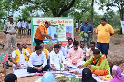 वृक्षारोपण महा अभियान : रेणुकूट क्षेत्र में हुआ व्यापक पौधारोपण, जनप्रतिनिधियों व संस्थाओं की रही सक्रिय भागीदारी