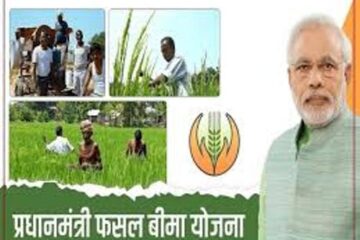 फसलों  का बीमा कराने हेतु अन्तिम तिथि 31 जुलाई