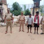 कोन पुलिस ने 67 गोवंश बरामद किया, 2 अभियुक्त गिरफ्तार
