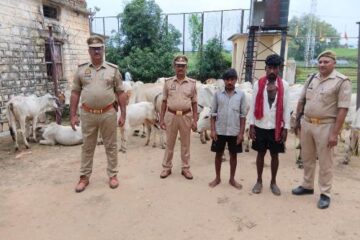कोन पुलिस ने 67 गोवंश बरामद किया, 2 अभियुक्त गिरफ्तार