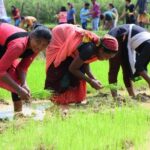 बालको की पहल से कृषि में आया बदलाव, पैदावार में वृद्धि और लागत में कमी