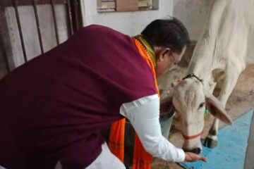 गौ-सेवा से ही मिलती है सच्ची शांति और ऊर्जा – मुख्यमंत्री विष्णु देव साय
