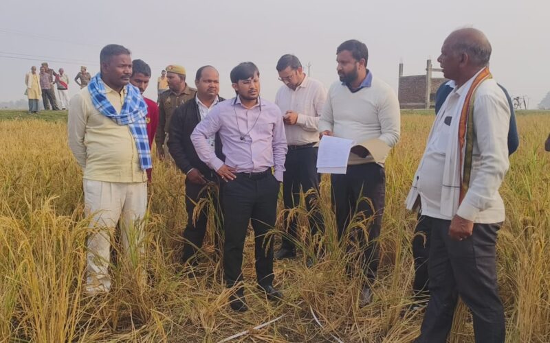 जिलाधिकारी की उपस्थिति में धान की फसल की हुई क्रॉप कटिंग