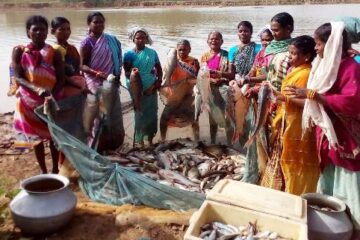 बस्तर में हो रहा नीली क्रांति का आगाज : राज्य निर्माण से अब तक मत्स्य उत्पादन में हुई 08 गुना वृद्धि