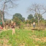 चोरमरवा बीट में अवैध कब्जे पर वन विभाग की कार्रवाई