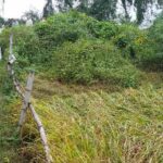 जिलाधिकारी गांवों में किसानों से बात कर पानी में डूबी फसलों का निरीक्षण किया