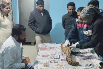 वन विभाग को बड़ी सफलता,अंतर्राज्यीय पेंगोलिन तस्कर गिरोह पकड़ा गया