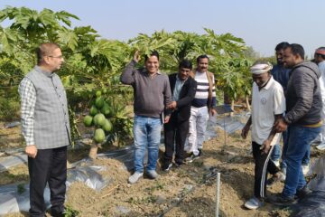 तकनीकी खेती से बदल रही सोनभद्र के किसानों की तस्वीर