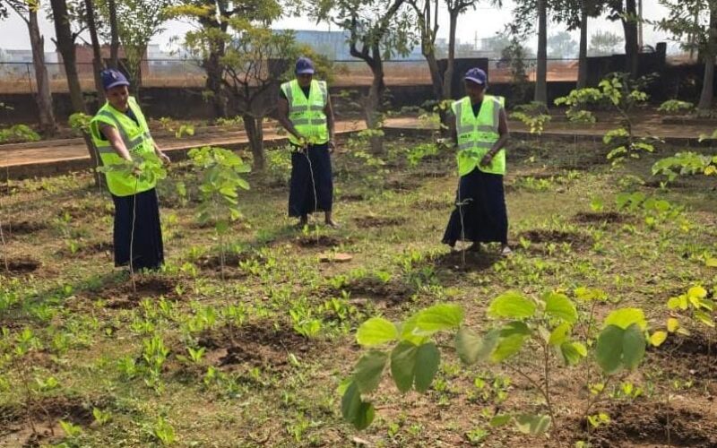 वुमेन फॉर ट्री योजना : अमृत मिशन के अंतर्गत महिलाओं की भागीदारी से हरियाली और आत्मनिर्भरता की ओर बड़ा कदम