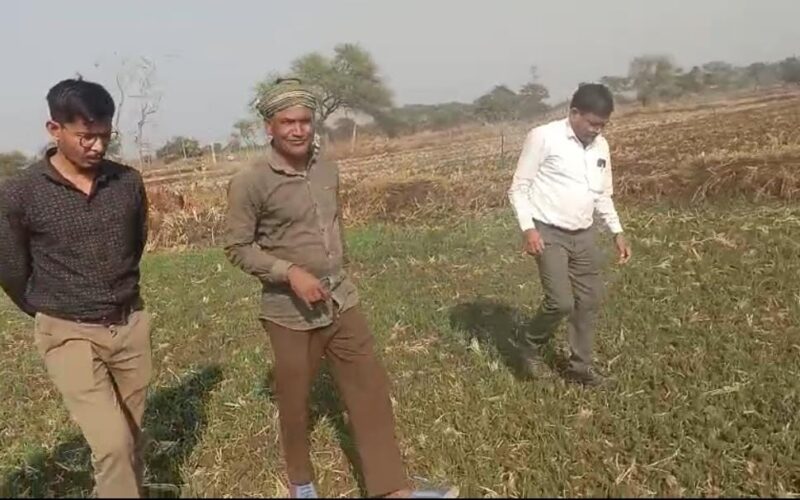 बैंकिंग से खेतों तक:जल संकट में फसल विविधीकरण की नई राह दिखा रहे विवेक धर दीवान