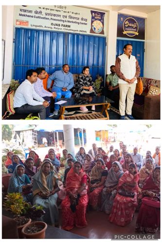 डबरी से समृद्धि तक : मखाना खेती से बदलेगी धमतरी की ग्रामीण महिलाओं की आर्थिक तस्वीर