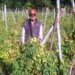 तकनीक सहयोग और मेहनत से बदली खेती की तस्वीर : सब्जी उत्पादन में आत्मनिर्भरता की मिसाल…