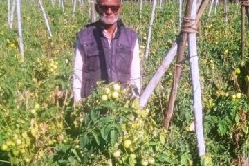 तकनीक सहयोग और मेहनत से बदली खेती की तस्वीर : सब्जी उत्पादन में आत्मनिर्भरता की मिसाल…