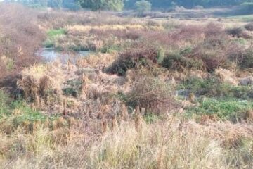 अटल आवासीय विद्यालय के गंदे पानी से खेतों में कचरा और दुर्गंध, किसान परेशान