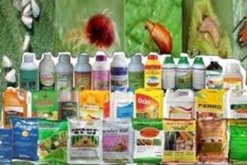 कीटनाशी विक्रेता अद्यतन करें अपनी सूचना… 