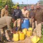 संयुक्त टीम की कार्रवाई,20 लीटर कच्ची शराब बरामद, एक गिरफ्तार