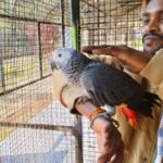 जगदलपुर के लामनी एवीयरी में नए मेहमानों का हुआ स्वागत