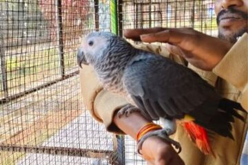 जगदलपुर के लामनी एवीयरी में नए मेहमानों का हुआ स्वागत