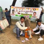 गौ तस्करी व गौ हत्या के विरोध में कांग्रेस आरटीआई विभाग ने किया गौ पूजन