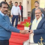 बीसीसीएल अंतर-क्षेत्रीय क्रिकेट टूर्नामेंट का भव्य समापन