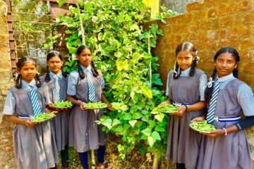 बच्चों को मिल रहा पौष्टिक आहार विद्यालय की बगिया से….