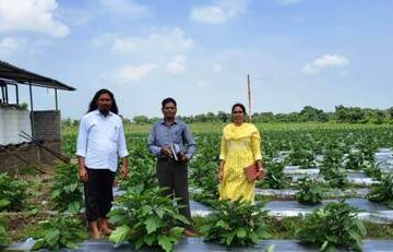 उन्नत तकनीक से खेती कर किसान चिंतामणी ने बढ़ाई अपनी आमदनी….