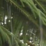 अचानक बदला मौसम का मिजाज,बारिश के बीच हुई बर्फबारी, बढ़ी किसानों की चिंता