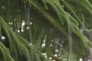 अचानक बदला मौसम का मिजाज,बारिश के बीच हुई बर्फबारी, बढ़ी किसानों की चिंता