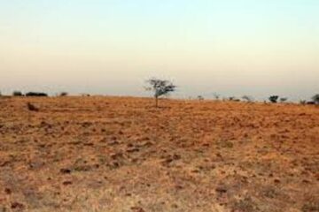 दलित की जमीन पर दबंगों की नजर कर सकते हैं कब्जा