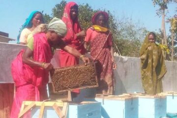 सफलता की कहानी : मधुमक्खी पालन से स्व-सहायता समूह की आय में वृद्धि