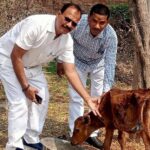 गौहत्या बंद करने के अभियान को मिला समर्थन,गिरीश पाण्डेय ने किया शंकराचार्य के आंदोलन का समर्थन