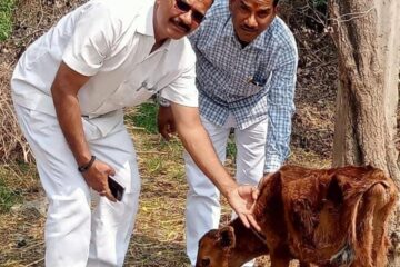 गौहत्या बंद करने के अभियान को मिला समर्थन,गिरीश पाण्डेय ने किया शंकराचार्य के आंदोलन का समर्थन