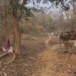 जंगल में पेड़ से लटकता मिला महिला का शव, क्षेत्र में सनसनी