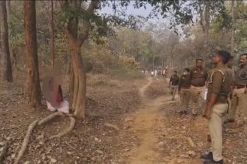जंगल में पेड़ से लटकता मिला महिला का शव, क्षेत्र में सनसनी