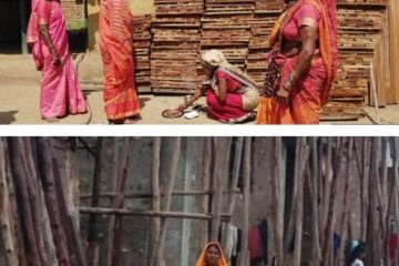 सेंट्रिंग प्लेट के व्यवसाय से बढ़ा महिलाओं में आत्मविश्वास और आय….