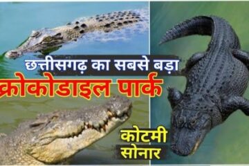मगरमच्छ संरक्षण से बदली कोटमीसोनार की तस्वीर: पर्यटन और रोजगार को मिला बढ़ावा