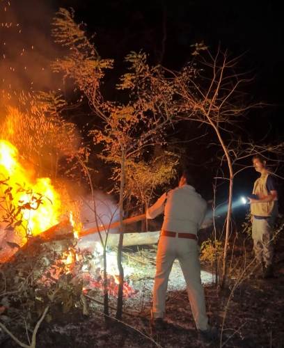 होली के दिन भी वनों की सुरक्षा में जुटे रहे वनकर्मी,सोनाखान के जंगलों में लगी आग पर पाया काबू