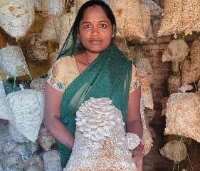 मजदूरी से मशरूम उत्पादन और अब स्वयं की दुकान से ‘लखपति दीदी’ बनीं बृहस्पति धुर्वे