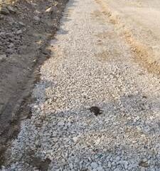 6 करोड़ 68 लाख रुपए की लागत से बनेगी चित्तविश्राम से चकिया त्रिमुहानी तक रोड 