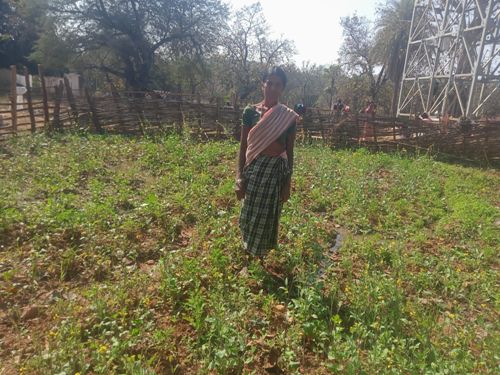 महतारी वंदन योजना से बदली जिंदगी की तस्वीर : सुखी पुनेम बनीं आत्मनिर्भरता और पोषण की मिसाल