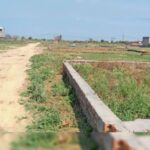 घटती कृषि भूमि और बढ़ती कालोनियां: भविष्य की खाद्य सुरक्षा पर गंभीर संकट