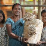 बालको की उन्नति परियोजना ने बदली ज़िंदगी, गंगोत्री से मशरूम दीदी बनने का सफर….