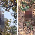जंगल में पति-पत्नी के शव मिलने से सनसनी, चार दिन से थे लापता