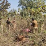 जंगल में अज्ञात महिला का शव मिला, पुलिस जांच में जुटी