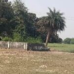 प्राथमिक विद्यालय निपराज की बाउंड्री टूटी, परिसर में गंदगी का अंबार